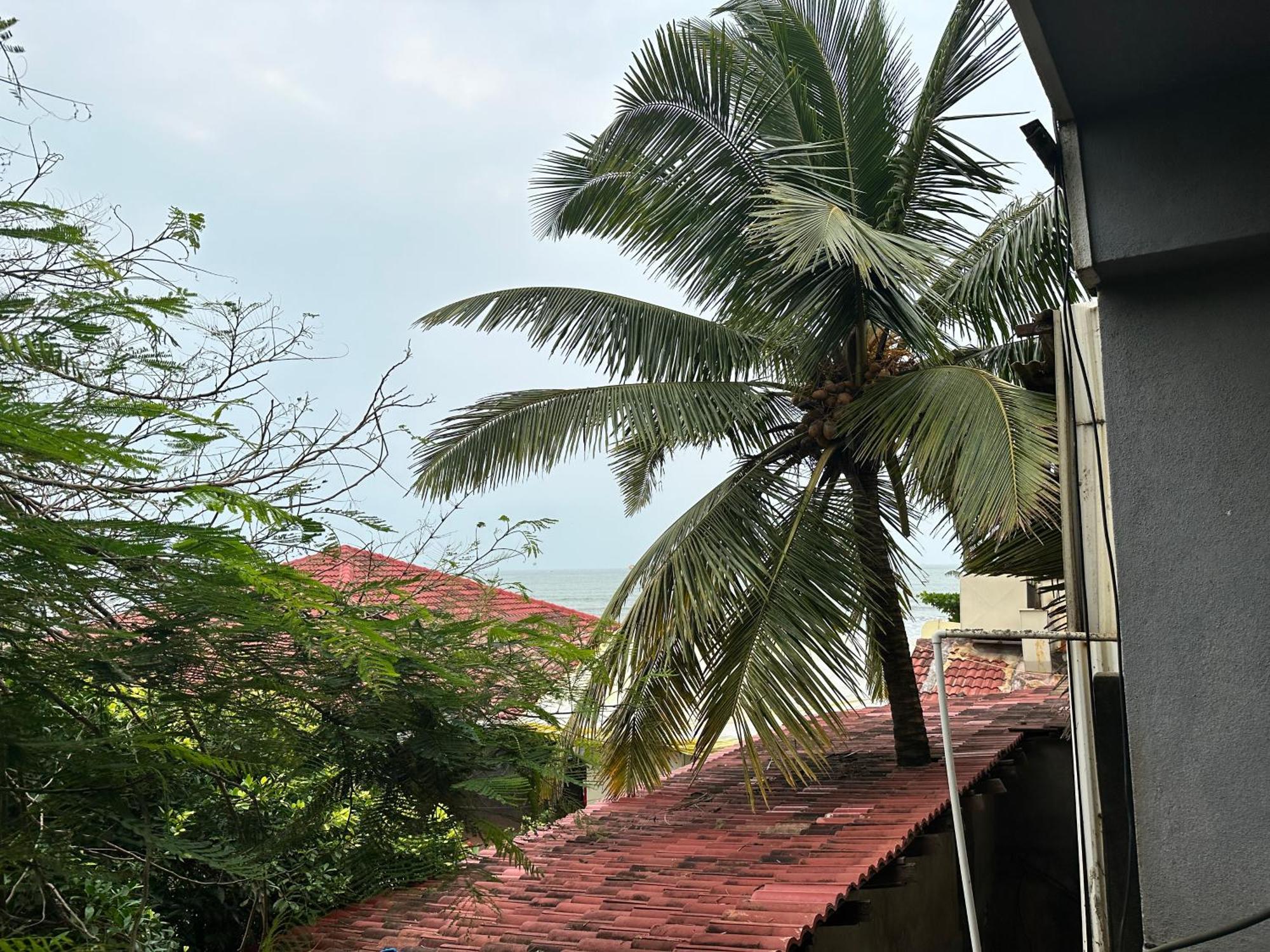 Hotel Salty Waves บากา ภายนอก รูปภาพ